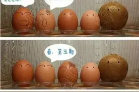 最近有一群“毛孩子”来了，大都是祖籍湖北的“海归”！图片