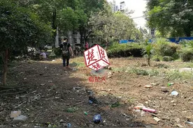 市民担忧小区毁绿建停车位，物业解释称是海绵工程施工图片