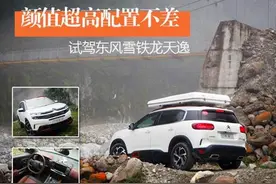 颜值超高配置不差 试驾东风雪铁龙天逸图片
