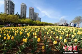 烟台获全国社会治安综合治理优秀城市“七连冠”图片