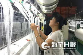 手感好 不掉毛！海宁立达经编一块毛巾“颠覆”传统图片