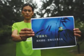 房山一景区观赏萤火虫来源遭质疑图片