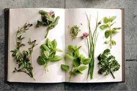 10种面相说明你“气血不足”，其实好好吃饭就能补足图片