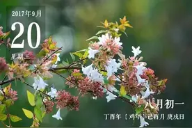 泪目！我的父亲很伟大，请你们替他好好活下去图片