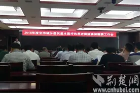 麻城人社再便民：城乡居民养老、医疗保险费同征同缴图片