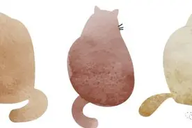 「礼仪篇」进办公室敲门礼仪图片