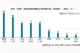 134号文大限将至 部分险企借“停”炒作图片