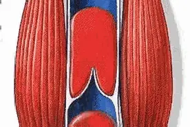 痘痘不能随便挤，稍有不慎会丧命！图片