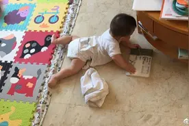孙茜儿子从小爱看书 肉嘟嘟小腿胖乎乎小脸超萌图片