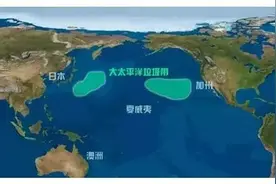 环保人士要让太平洋“垃圾岛”建国，美国前副总统成荣誉居民图片