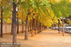 嘴唇干裂、脱皮小心是唇炎 易感人群在秋季更应警惕图片