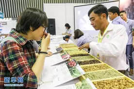 2017越南国际咖啡展销会在胡志明市举办图片