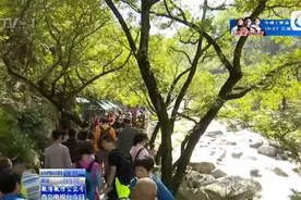 青岛崂山长假经济火爆 农家乐民宿一房难求图片