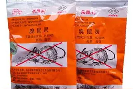 10月10日起，贵阳统一投放鼠药，家长注意千万别让孩子误食了图片