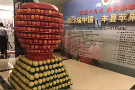 第28届中国·丰县苹果文化节开幕图片