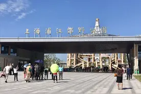 11个世纪公园大小的免费郊野公园？我先看到了2个，而且像个高级植物园 | 畅玩魔都郊野公园③图片