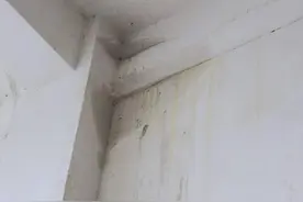 8890︱阳台漏水两年 外墙石灰块掉落图片