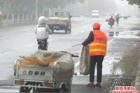 点赞！阳信环卫工人冒雨捡拾落叶垃圾图片