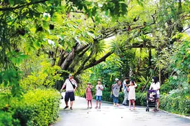 来吧，一起走进“植物天堂”图片