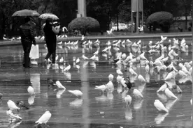 石家庄：明天雨停 气温将回升图片