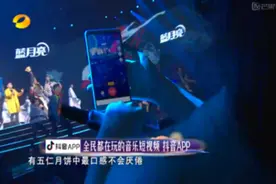 湖南卫视《中秋之夜》张铁林和VAVA比饶舌，靳梦佳用抖音都拍下来了图片