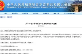 中国人持电子签证赴吉尔吉斯斯坦受阻 中使馆提醒图片