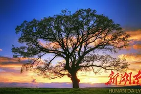 但求无愧于心图片