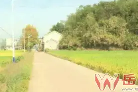平江这位“后生支书”真情扶贫 坎塘村旧貌换新颜图片