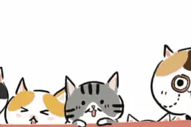 大家好，再来给大家介绍下，这是普通地下室华丽变身第二季活力海淀图片