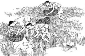 聊吧︱公园里看到抓黄鳝，感慨环境变好的同时勾起童年回忆图片