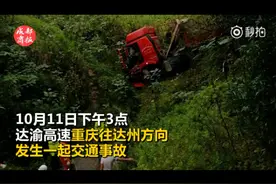 大货车冲下高速路50米山坡 司机幸运生还图片