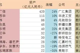 新疆12人登上2017胡润百富榜，看在乌市的8位都有谁图片