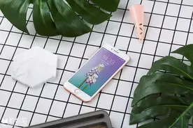 iPhone 8的“Gold”究竟是什么金？图片