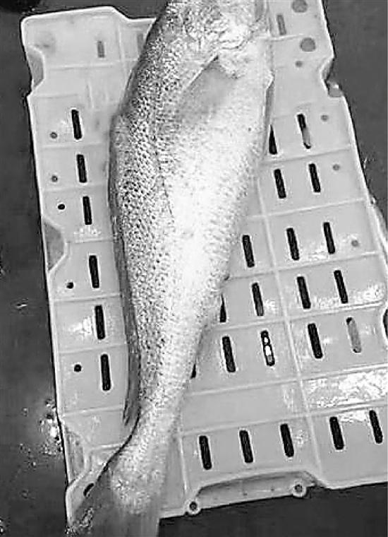 һ��������һ�����ۣ�����9.8����������14.8��