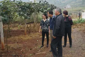 昆明市科协主席齐江到富民县调研科普工作图片