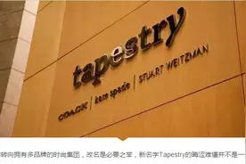 Coach的“奢侈”突袭图片