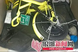 临沂小蜜单车扩容 500辆共享电动车明日上岗图片