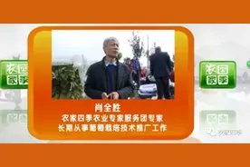 壮壮帮忙：葡萄采收后的管理技术图片