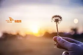 等着我丨为了团聚，我始终不会放弃……今晚22:38，一起见证人间团圆！图片