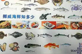 继三文鱼和鳕鱼之后 挪威又开始在中国推销“小众”海鲜图片