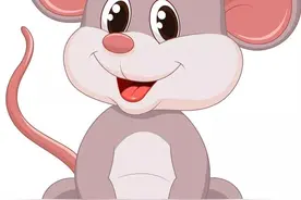 老鼠：未来的地球霸主？图片