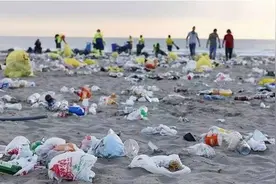 用树叶做成的世界上最环保的餐具！图片