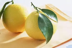 「健康秘笈」吃完柚子，别把柚子皮扔了！图片