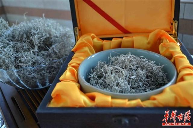 张家界土家贡莓茶：昔日土家祖传药茶 今日脱贫致富法宝