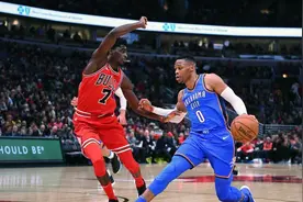 雷霆飞机被大鸟撞 球员吓出一身冷汗图片