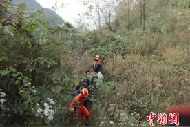 8名老年驴友三峡探险被困 消防紧急救援图片