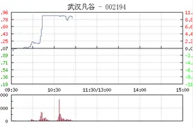 快讯：“妖股”武汉凡谷股票复牌 盘中跌幅过6%图片