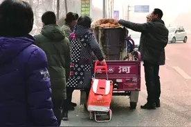 小地瓜带来大商机：山东气温走低地瓜经济升温图片