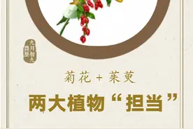 网络中国节｜重阳节两大植物“担当”：菊花 茱萸图片