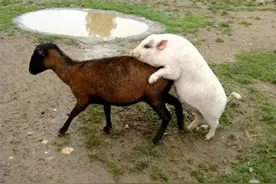 快来跟宝宝一起玩耍图片